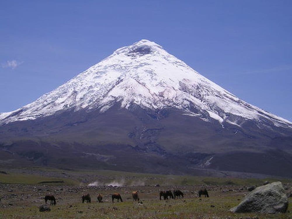Cotopaxi 