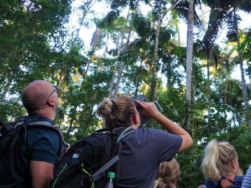 Image without description