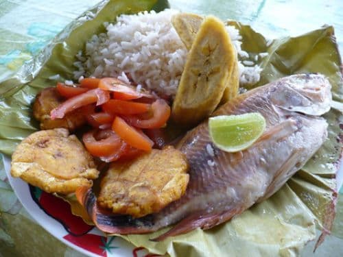 Maito - typisches Gericht