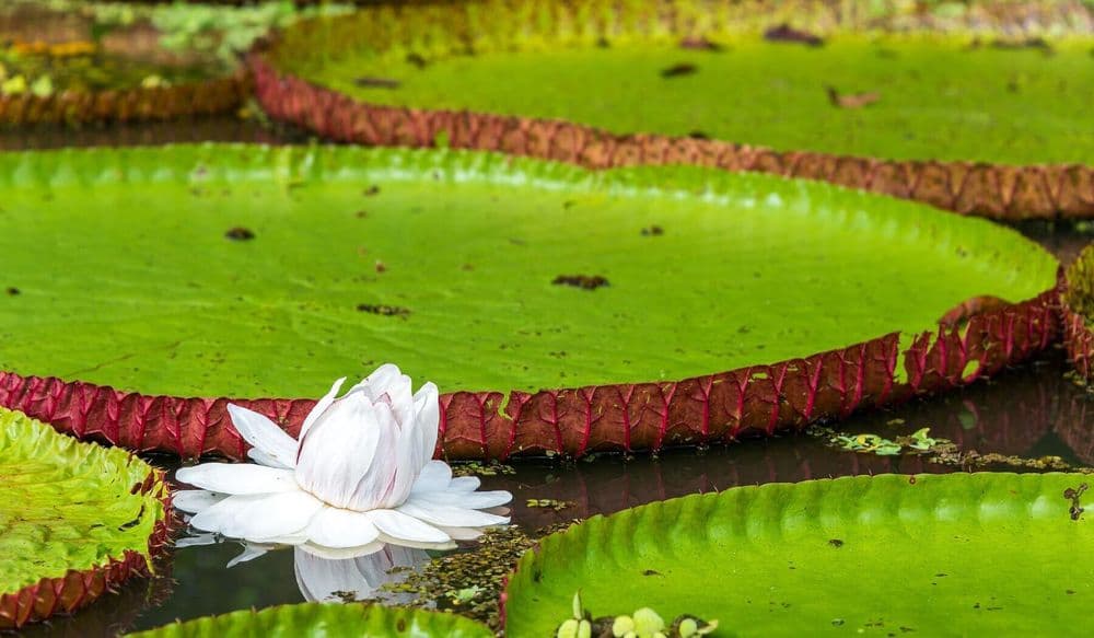 17-Jul-15-2024-11-05-26-8575-AM (1)