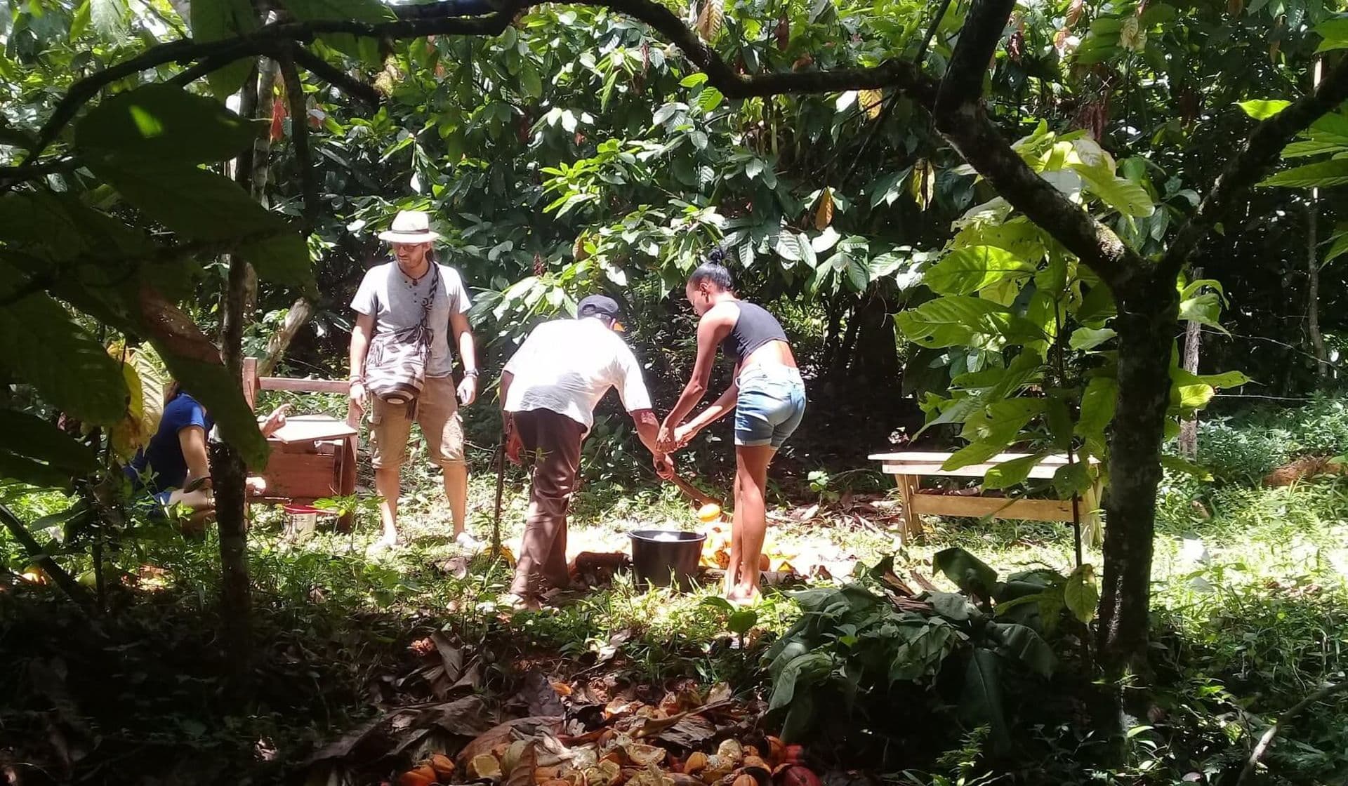 Wir helfen der Umwelt!