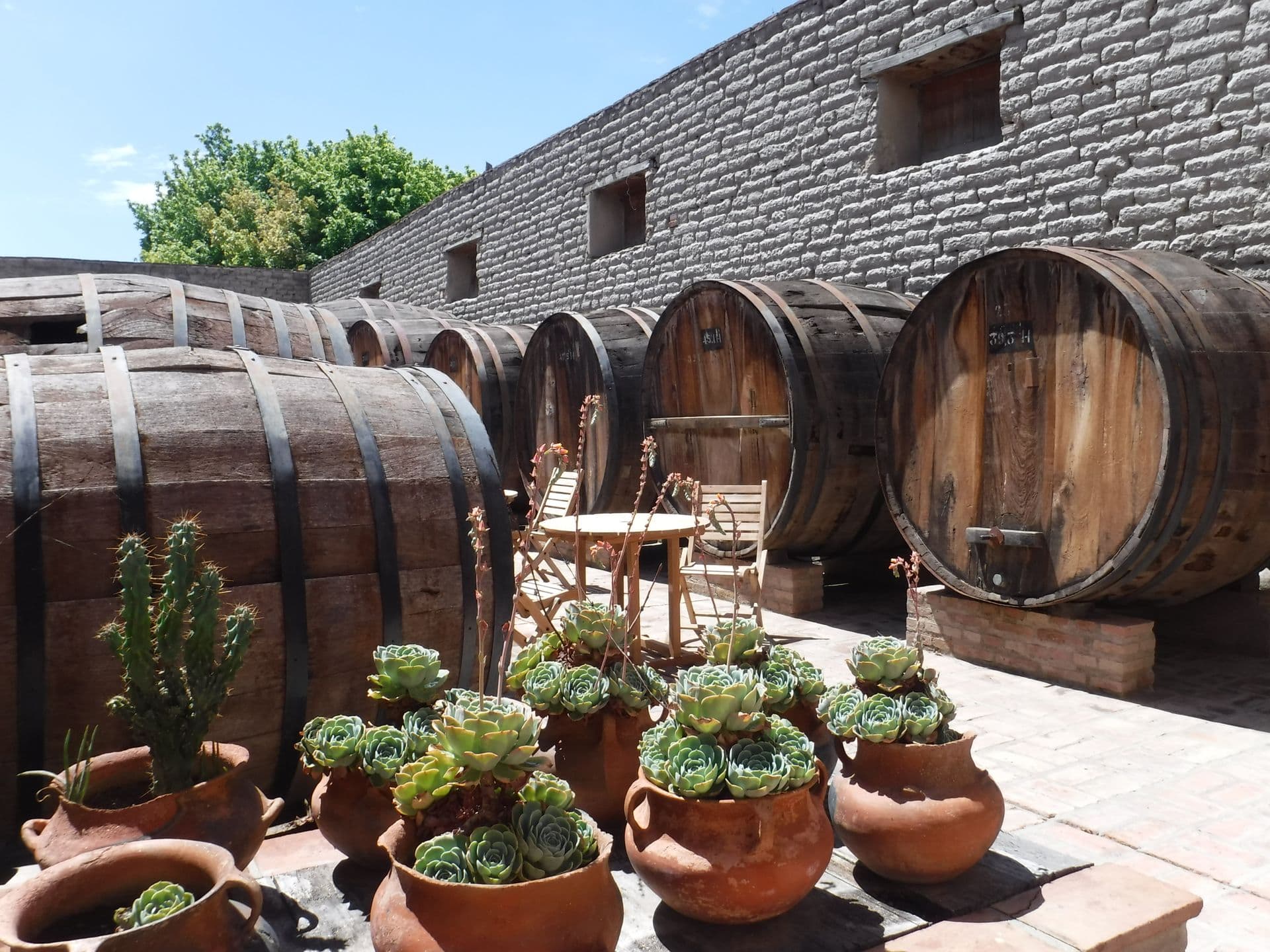 Deine Spezialisten für Südamerika Reisen