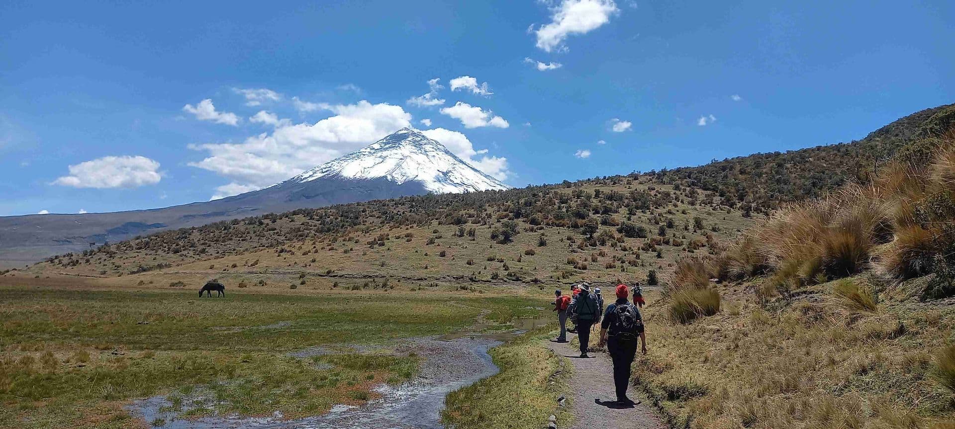 Cotopaxi Vulkan