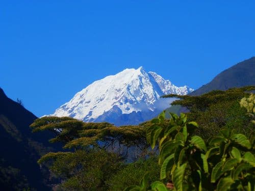 Image without description