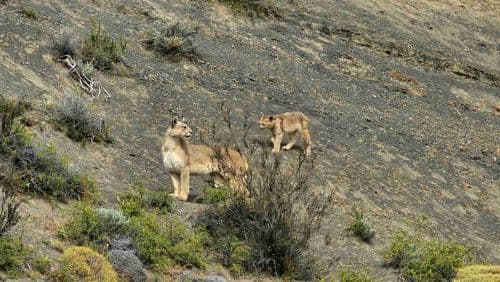 Parc National Torres del Paine