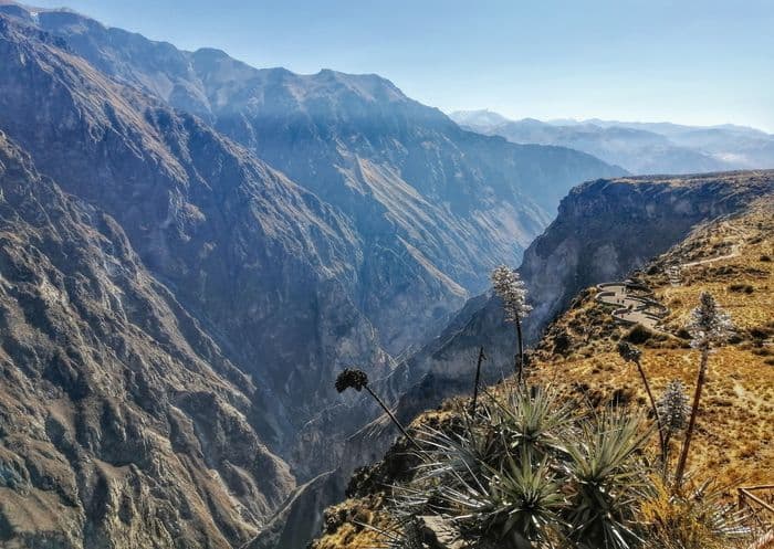 Colca Cayon
