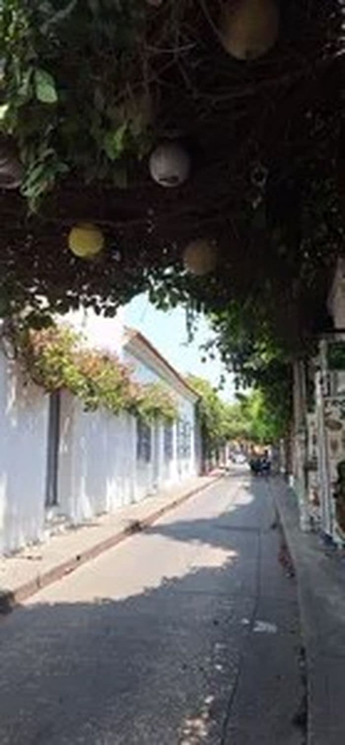 City tour de  Cartagena