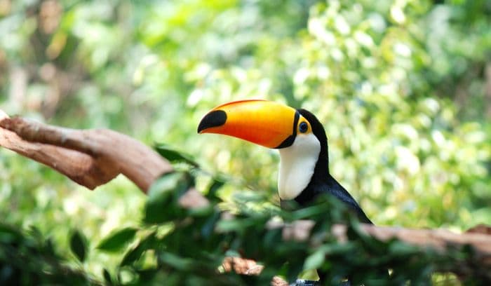 Adventskalender-Gewinnspiel