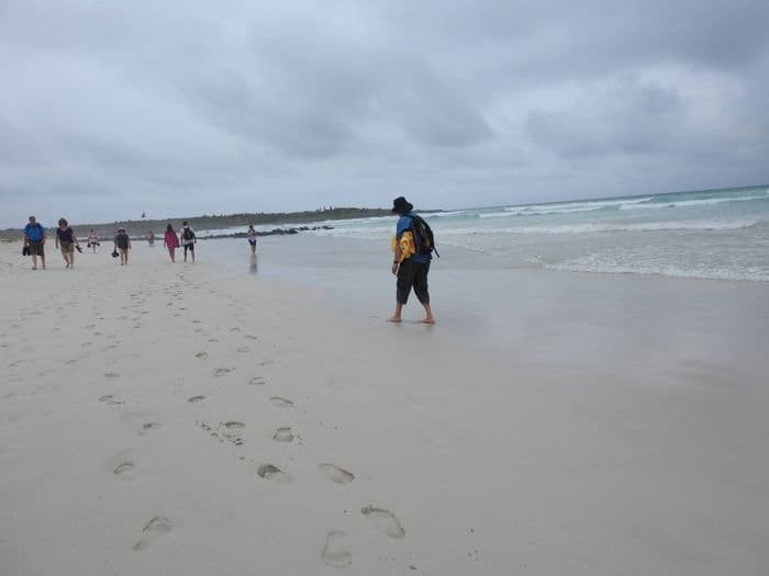 Hetmut tanzt und geht zurück,