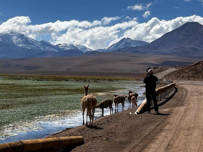 Geysers Tatio
