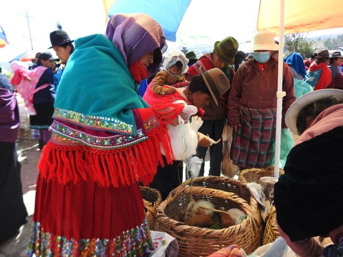 Guamote Indigenamarkttag