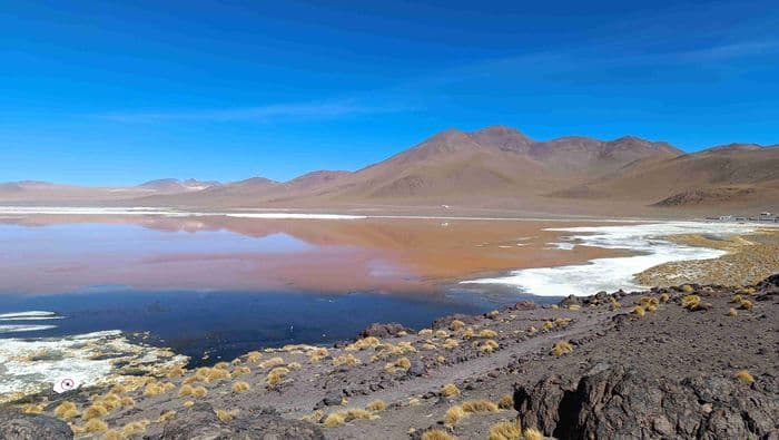 Laguna Colorada